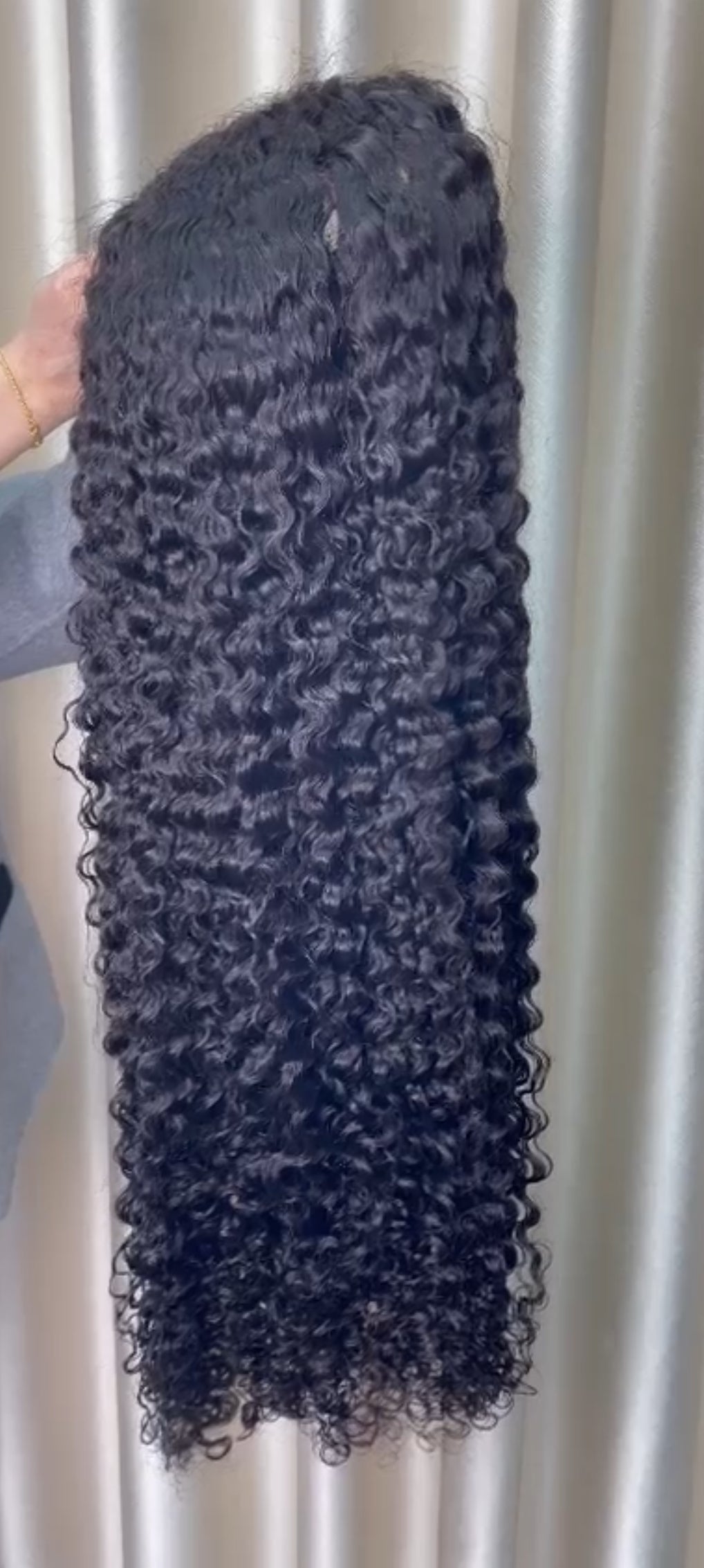 Burmese Curly